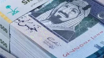 موعد راتب ربيع الأول.. الموظفون في السعودية يترقبون تحديث البيانات المالية الجديدة